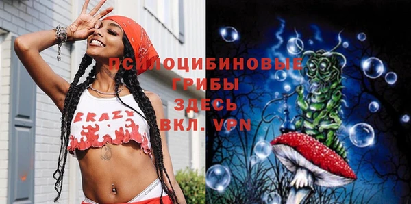 мяу мяу мука Волоколамск