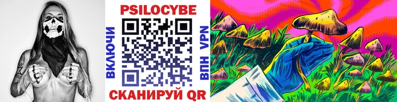 Галлюциногенные грибы Cubensis  мориарти какой сайт  Ессентуки 