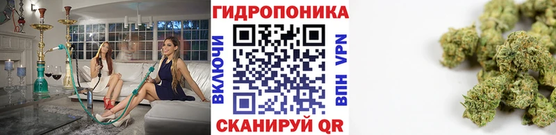 Канабис семена  Ессентуки 